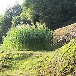 Rio Lunei Stella