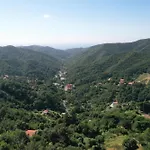 Rio Lunei * Stella