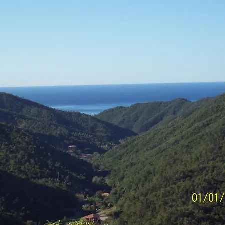 Rio Lunei Stella