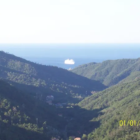 Rio Lunei * Stella