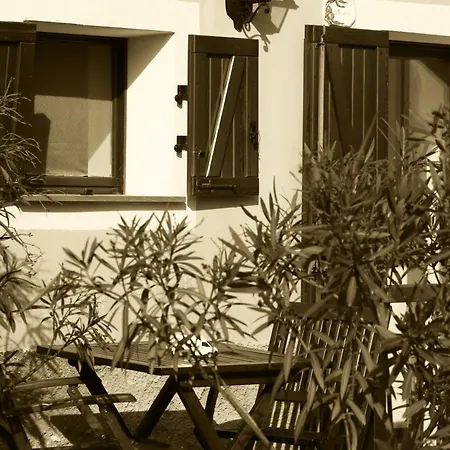 Rio Lunei Farm stay