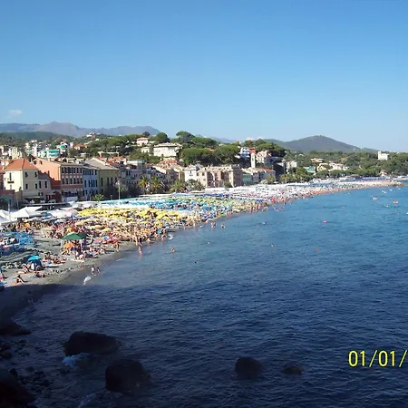 Rio Lunei *