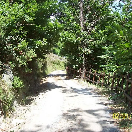 Rio Lunei