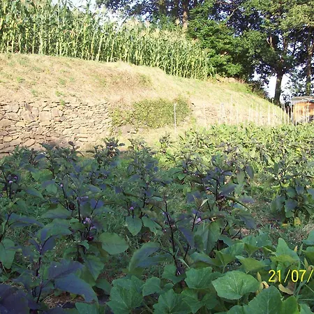 Bauernhof Rio Lunei *