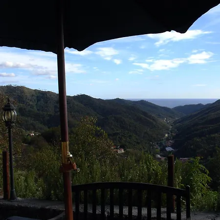 Rio Lunei Stella