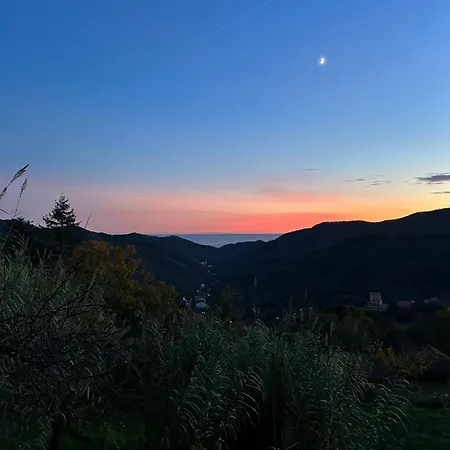 Rio Lunei *