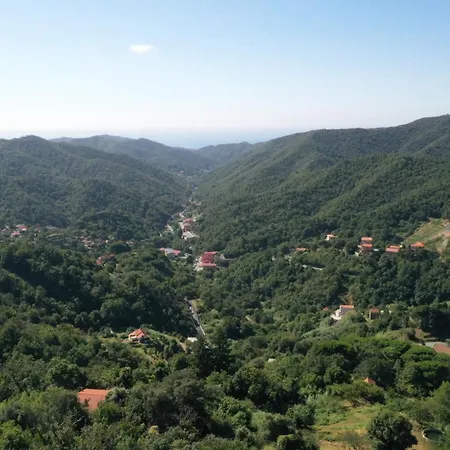 Rio Lunei * Stella