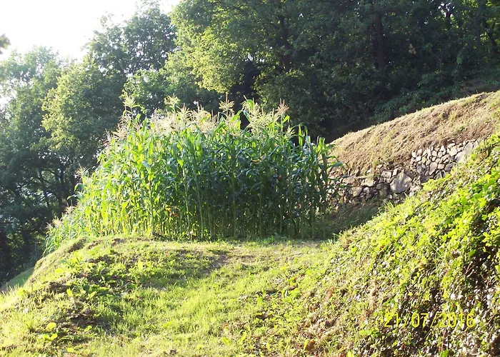 Rio Lunei Stella
