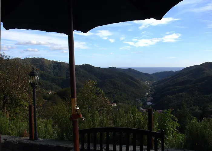 Rio Lunei Stella