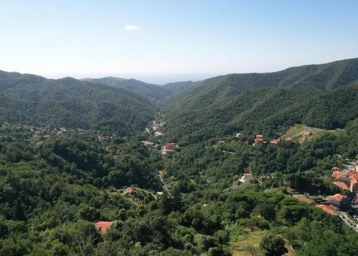 Rio Lunei * Stella